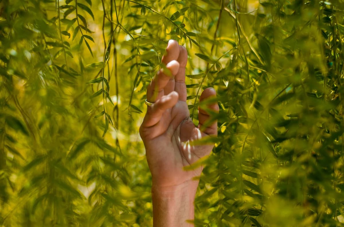 Staterra goes green in KSA: let's build a sustainable future together!