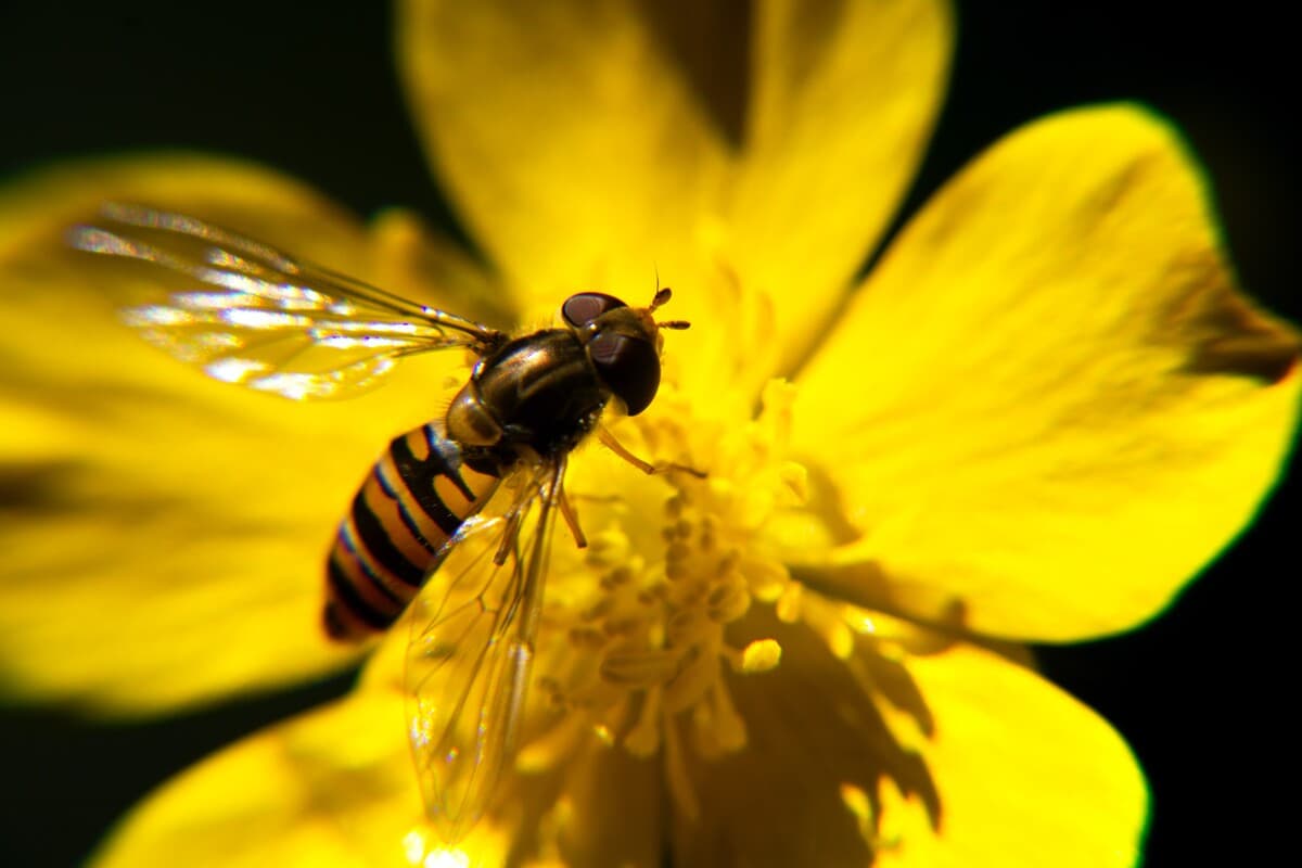 The unthinkable: a future without biodiversity