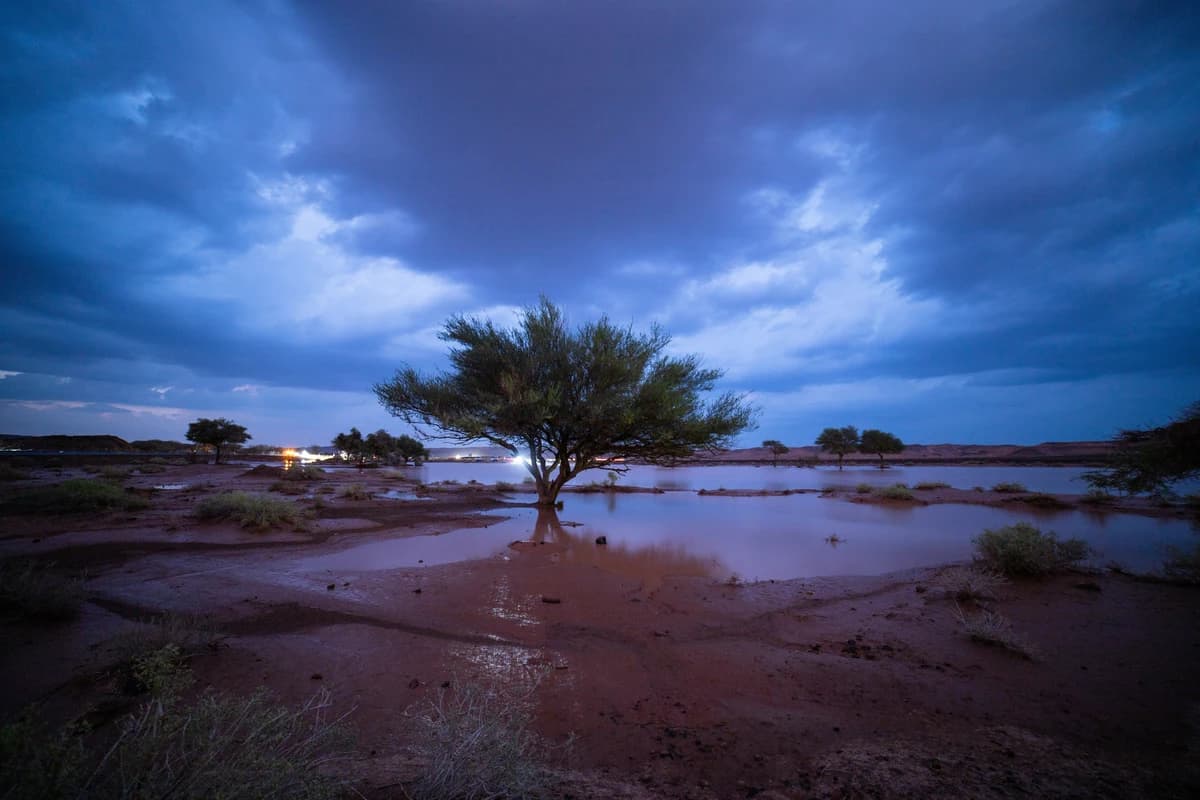 Safeguarding Saudi Arabia's natural heritage: from vision to action