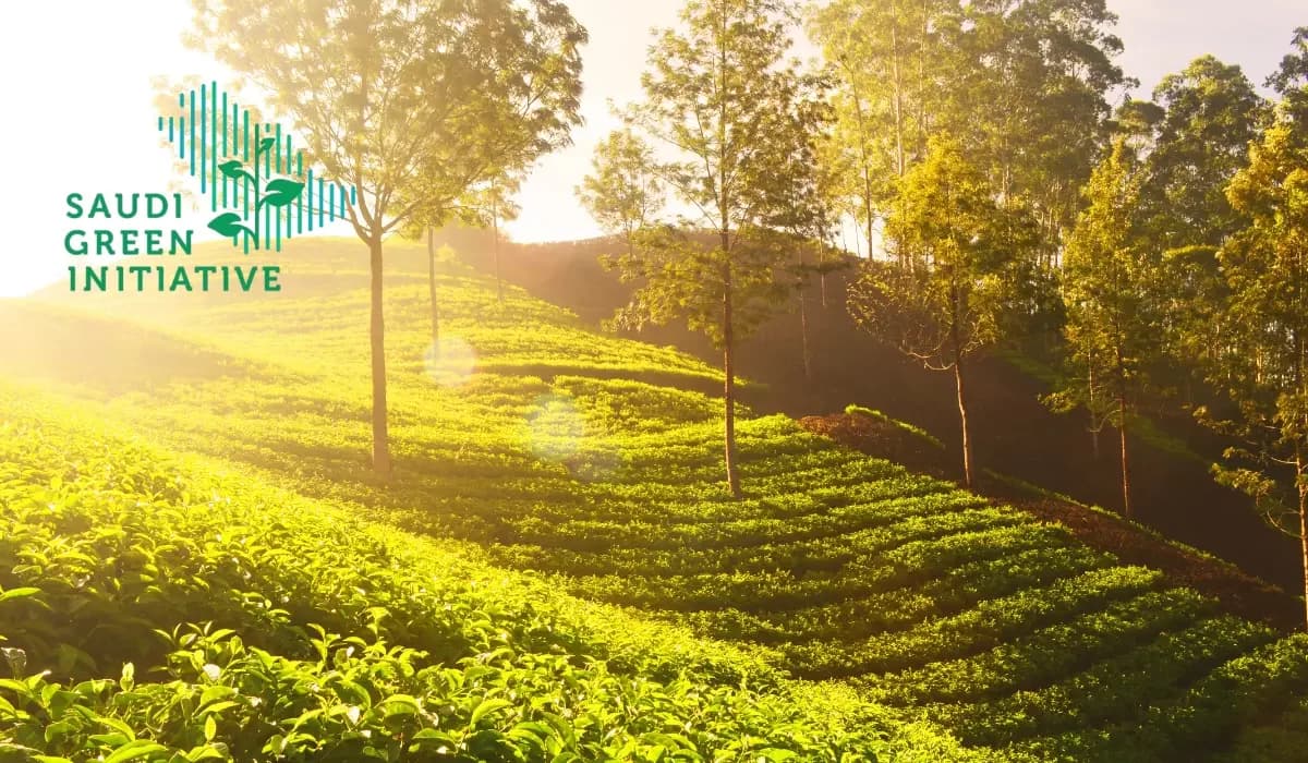Bridging Global Standards with Local Excellence: Integrating International Frameworks in Saudi Arabia's Environmental Landscape