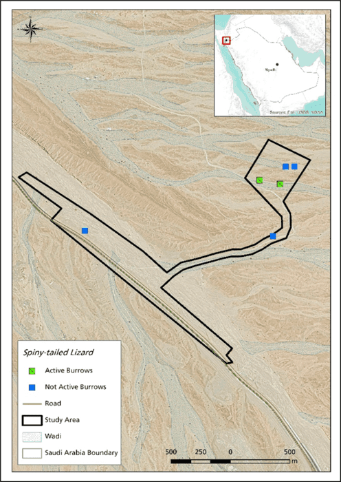 Ecological survey NEOM Staterra