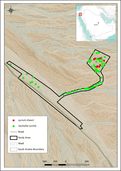 Ecological survey Staterra NEOM