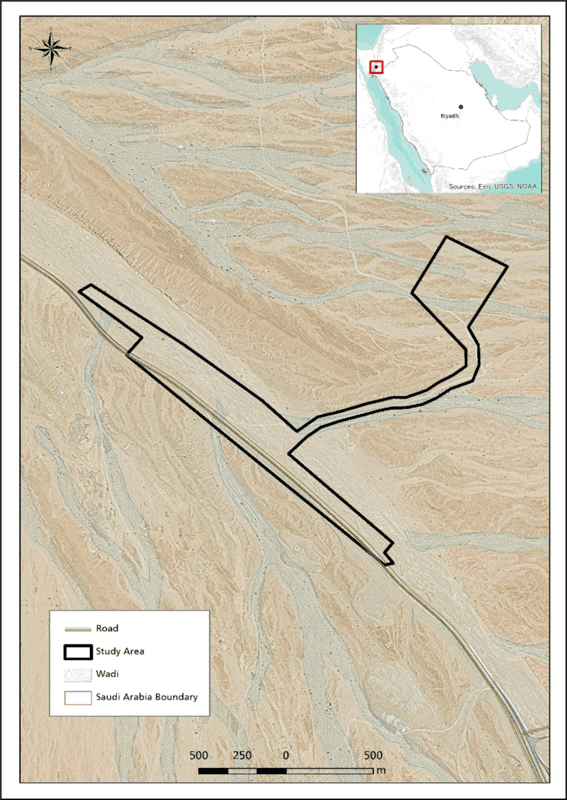 The biotic environment and identify ecological features at the WO-037 Haql Site in NEOM