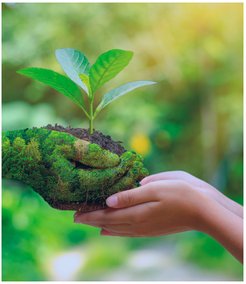 Staterra Environmental Assessments KSA