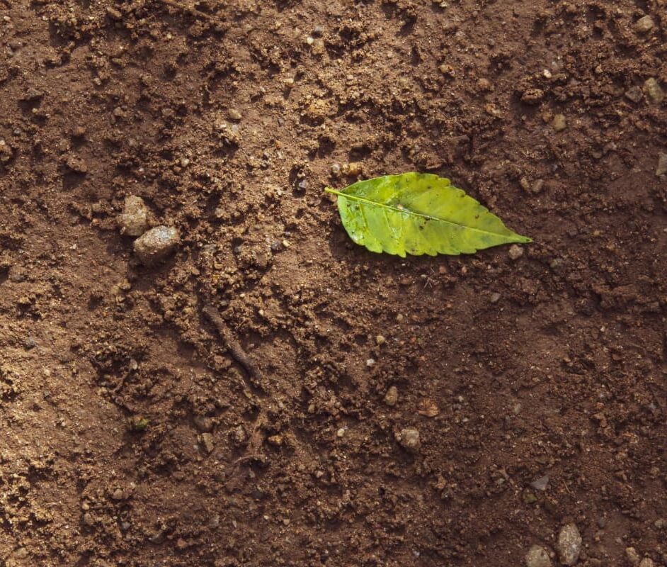 Staterra soil and groundwater remediation in KSA