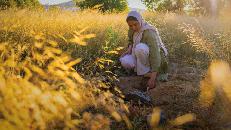 The Green Initiative Saudi Arabia