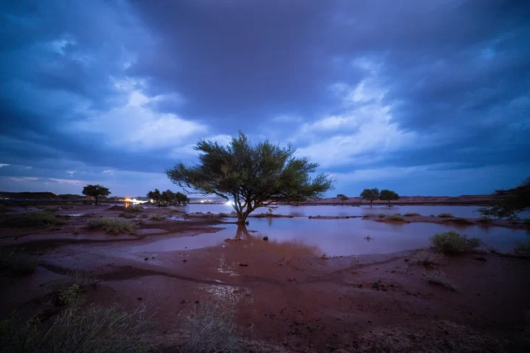 Conservation journey in Saudi Arabia