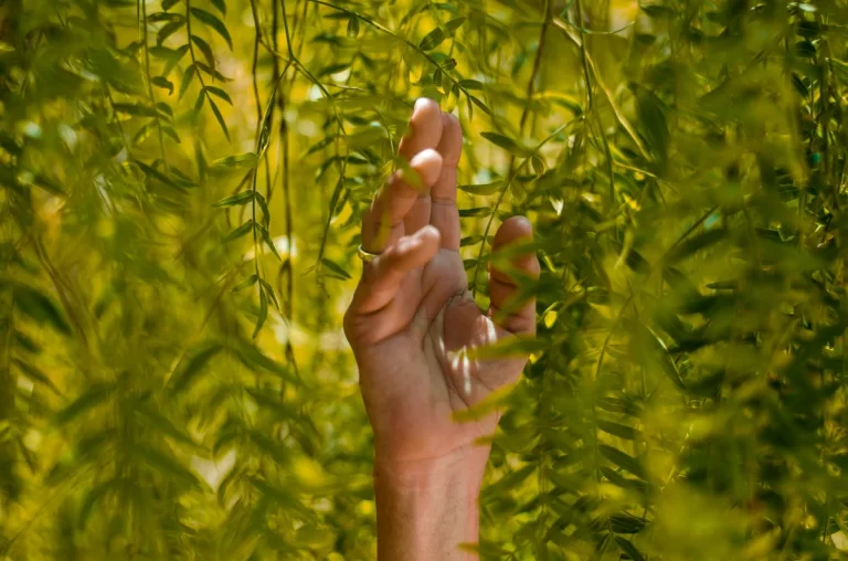Close-up of vibrant green leaves.
