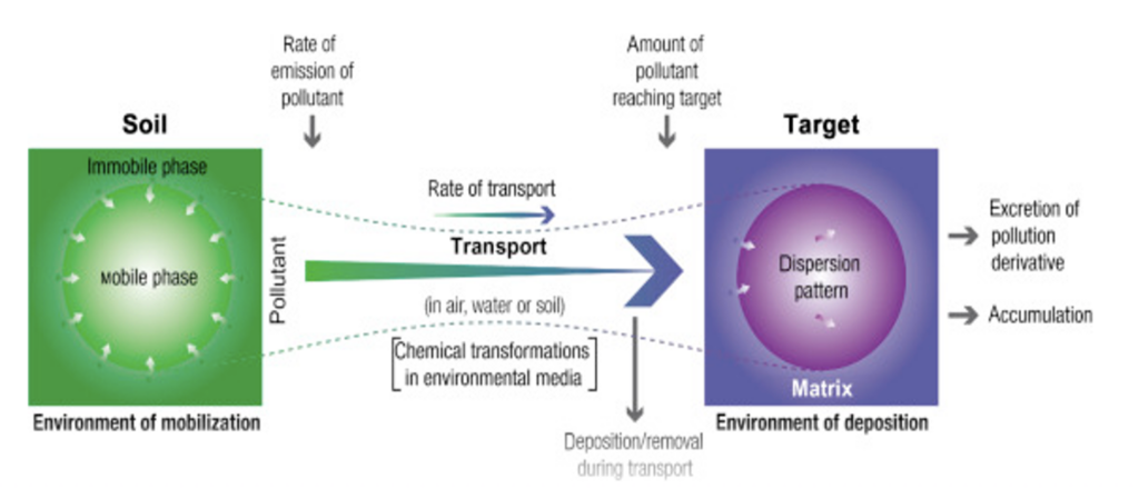 Source_Pathway_Target_Receptor_Model_Staterra