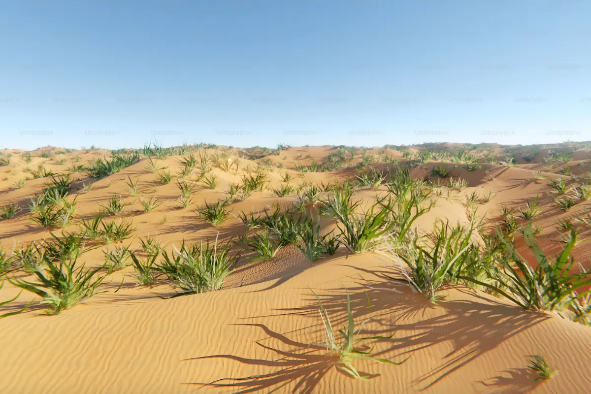 Accelerating Sustainable Development in KSA - Staterra