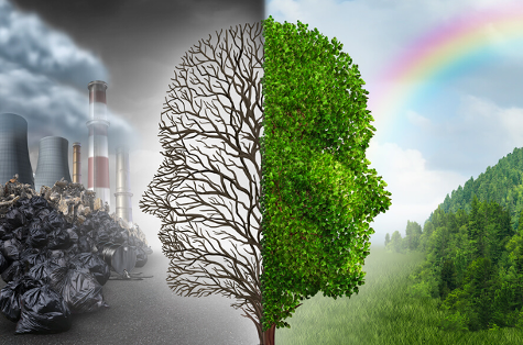 Staterra Environmental Compliance