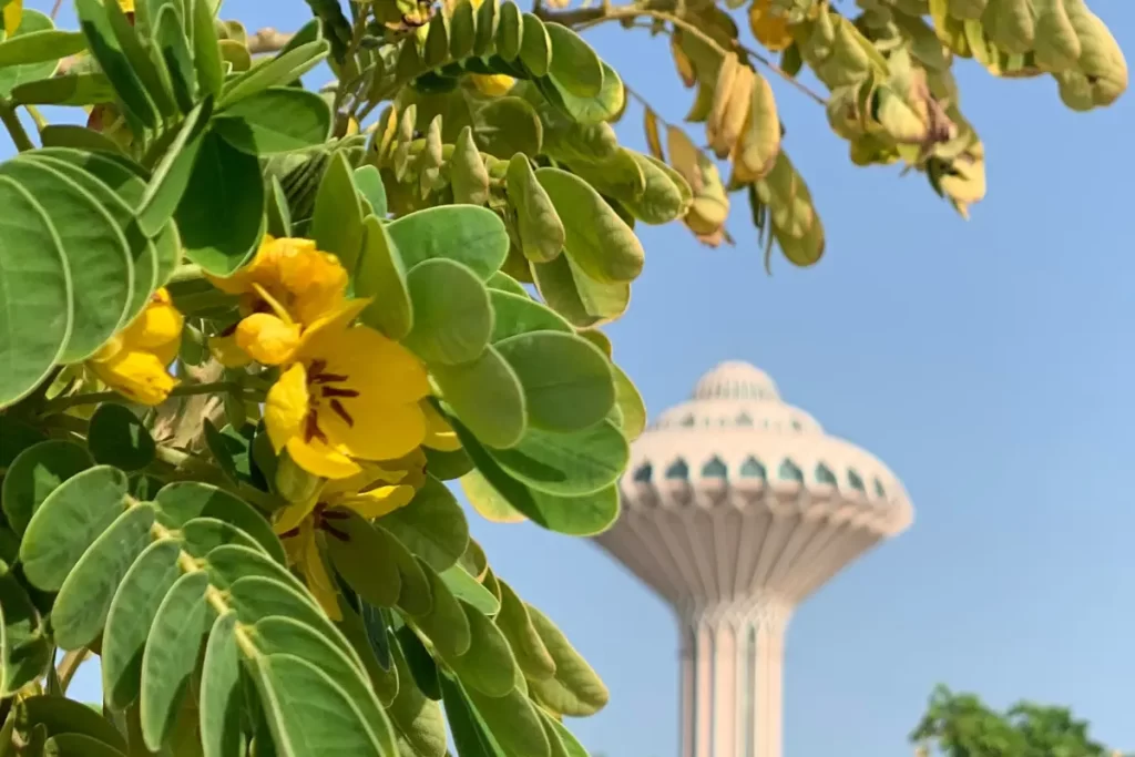 Staterra's guide to environmental compliance in KSA 2025