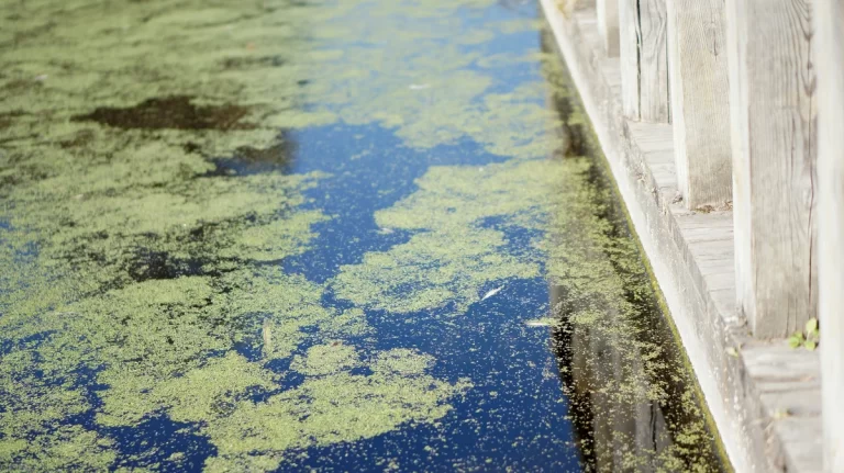 Phase I Desk Top Study is the first stage in contaminant assessment industry