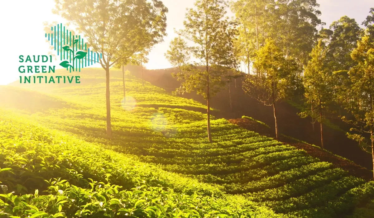 Bridging Global Standards with Local Excellence: Integrating International Frameworks in Saudi Arabia’s Environmental Landscape