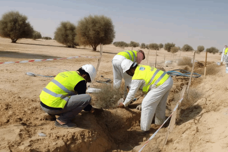 Staterra Phase III Bioremediation for Oil & Gas Sites